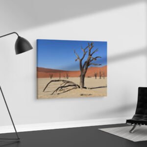 Dead Vlei, Namibia