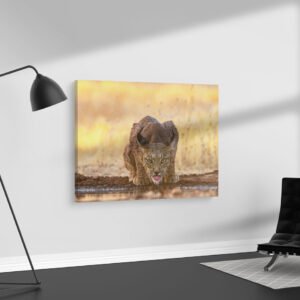 Lince iberica